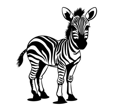 Siyah ve Beyaz Zebra Çizgili Resimler