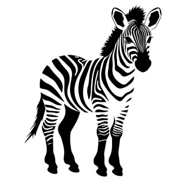Siyah ve Beyaz Tasarım Çizgili Zebra Silueti
