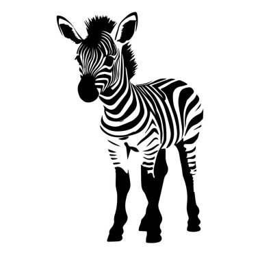 Vahşi Yaşam Aşıkları için Şirin Bebek Zebra Grafik Tasarımı