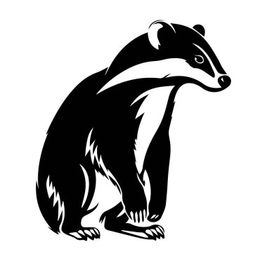 Doğa Teması için Siyah ve Beyaz Porsuk İllüstrasyonu