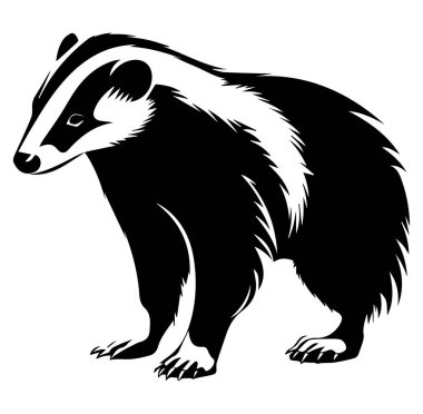 Profil Görünümü Tasarımında Siyah ve Beyaz Porsuk Silueti