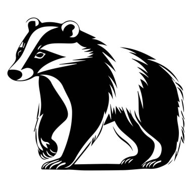 Grafikler için Zarif Siyah ve Beyaz Porsuk Çizimi