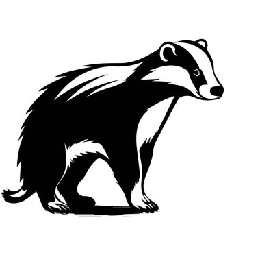 Bir Porsuğun Siyah ve Beyaz Biçimli ResmiComment