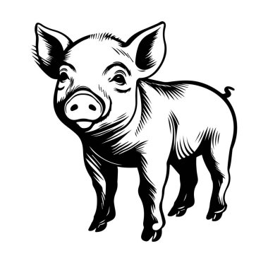 Siyah ve Beyaz Biçim Sanatında Şirin Domuzcuk Çizimleri