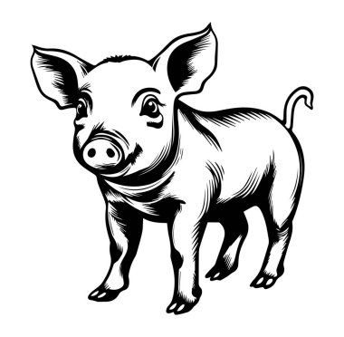 Çiftlik ya da Hayvan Teması İçin Sevimli Bebek Domuz İllüstrasyonu