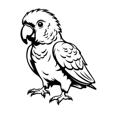 Siyah ve Beyaz Biçimli Papağan Çizgi Filmi