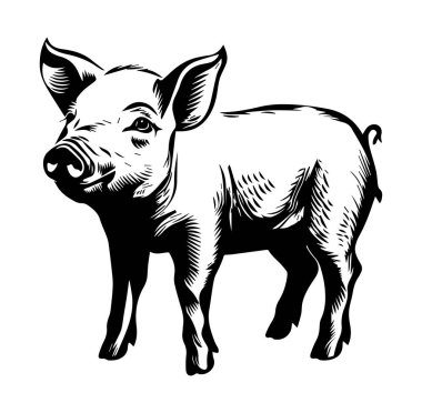 Çiftlik Temaları için Çizimli Siyah ve Beyaz Domuz Tasarımı