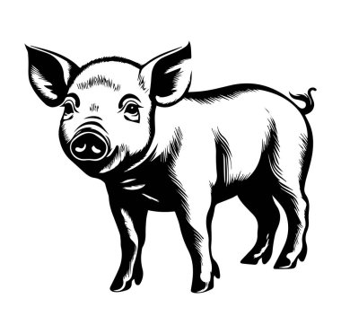 Siyah ve Beyaz Biçim Sanatında Şirin Domuz Çizimi