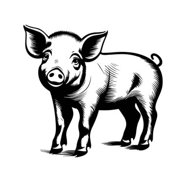 Siyah ve Beyaz Biçimli Şirin ve Oyuncu Domuz Çizimi