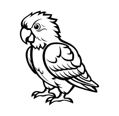 Yaratıcı Projeler için Çizgi Film Biçimi Papağan Çizimi Tasarımı