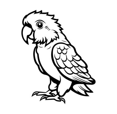 Ayrıntılı Siyah ve Beyaz Kuş Tasarım Sanatı