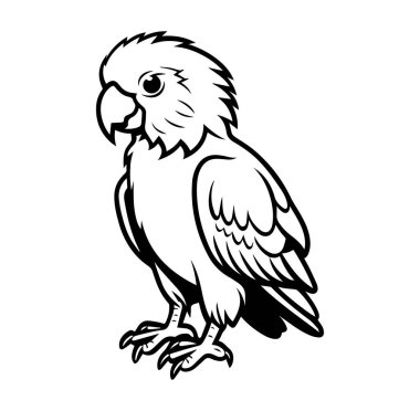 Ayrıntılı bir kuş tasarımının siyah beyaz çizimi