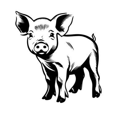 Şirin Domuzcuğun Büyüleyici Vintage Biçimi