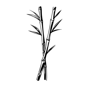 Bambu Kökleri Tasarımı 'nın Zarif Siyah ve Beyaz Çizimi