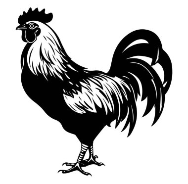 Göz kamaştırıcı Siyah-Beyaz Bir Horoz Standı