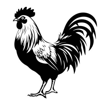 Çiftlik Teması Tasarımı için Siyah ve Beyaz Horoz İllüstrasyonu