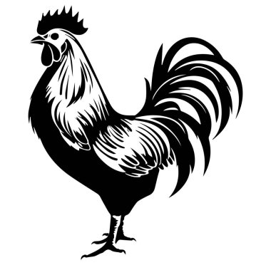 Ayrıntılı Tüy Tasarımı ile Zarif Horoz Silueti