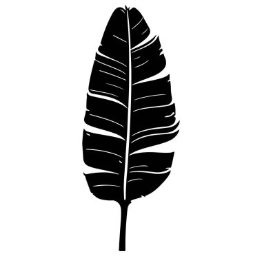 Beyaz Arkaplanda Büyük Bir Yaprağın Siyah Silüeti