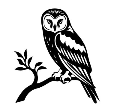 Siyah Biçimli Bir Baykuşun Zarif İllüstrasyonu
