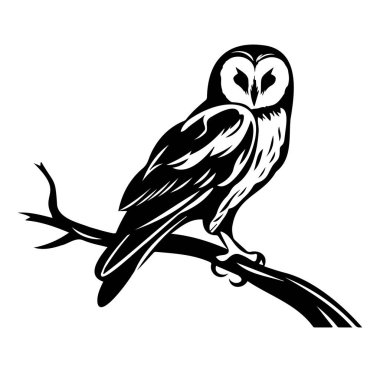 Siyah ve Beyaz Tasarım dalına tünemiş görkemli Baykuş