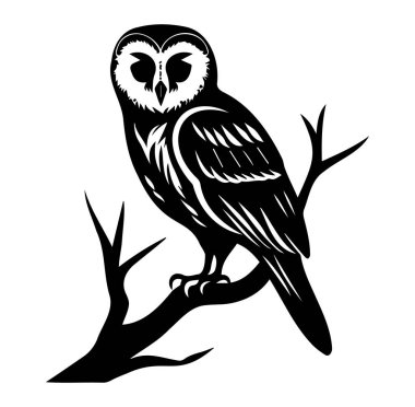 Görkemli Baykuş Minimalist Tarzında Dallara Tüymüş