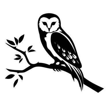 Şık Siyah ve Beyaz Baykuş Bir Dalda Oturuyor