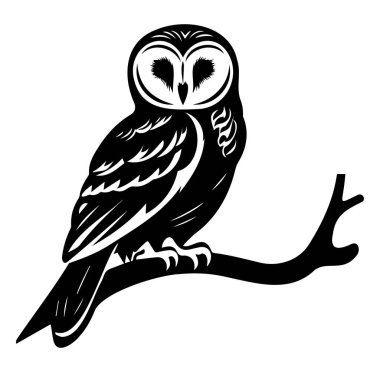 Şık Siyah ve Beyaz Baykuş Bir Şube Tasarımı üzerine tünemiş