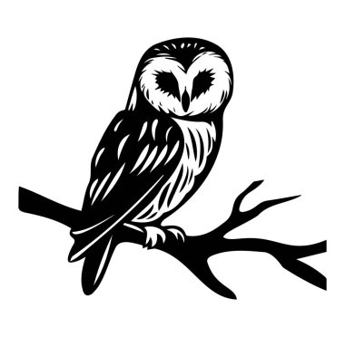 Bir şubeye tünemiş Baykuş 'un detaylı tasviri