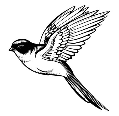 Zarif Kuş Ayrıntılı Siyah ve Beyaz Görüntü