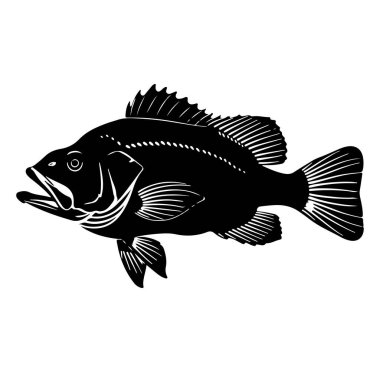 Ayrıntılı Fin ve Ölçekli Bas Balığı Siyah Silueti