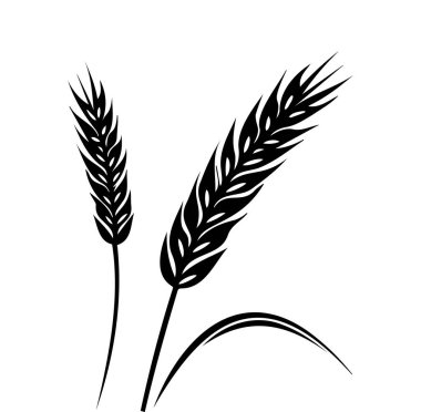 Buğday Takipçilerinin Klasik Biçimli Siyah ve Beyaz Resimleri