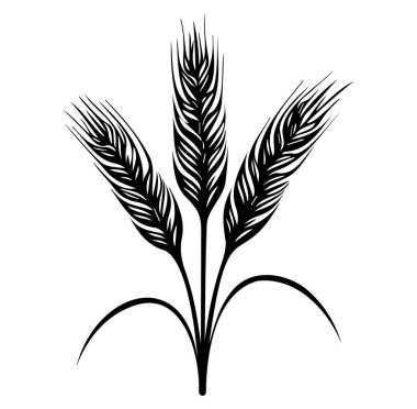 Biçimlendirilmiş Siyah ve Beyaz Buğday Çivisi Çizim Tasarımı