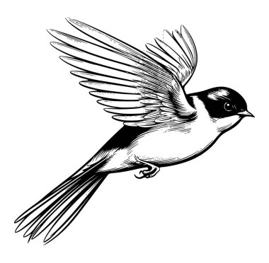 Ayrıntılı Kanat Tasarımı ile Zarif Uçan Kuş İllüstrasyonu