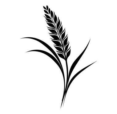 Beyaz Arkaplanda Bir Buğday Bitkisinin Zarif Siyah Silueti
