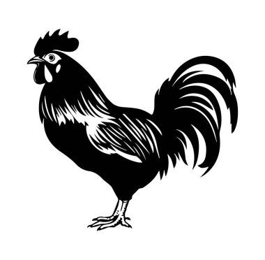 Ayrıntılı Tüyleri ve Crest 'i olan Siyah Horoz Silueti