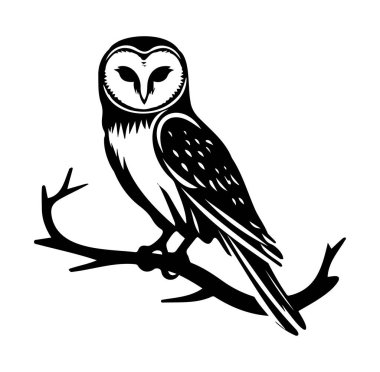 Siyah ve Beyaz Bir Şube Üzerine Zarif Baykuş İllüstrasyonu