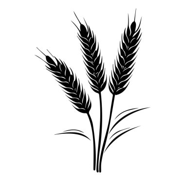 Yapraklı Buğday Saplarının Zarif Siyah Silueti