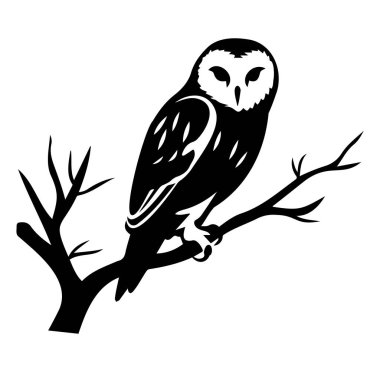 Siyah ve Beyaz Baykuş Çıplak Ağaç Dalında Oturuyor