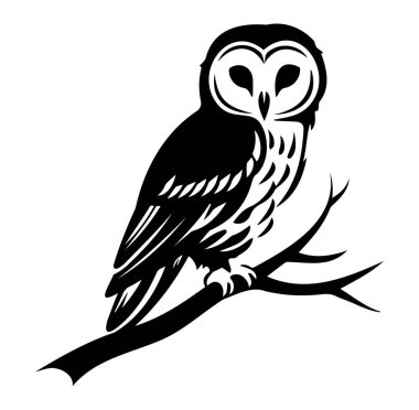 Sanatçı Siyah ve Beyaz Baykuş Çizimi