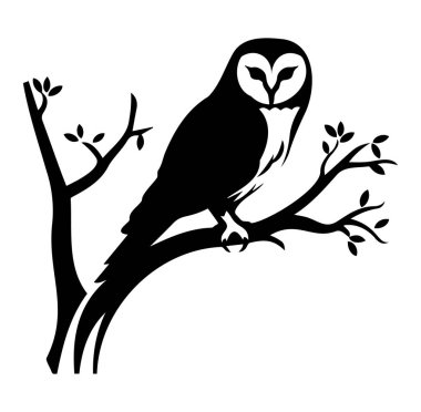 Siyah ve Beyaz Baykuş Silueti Bir Dalda Oturuyor