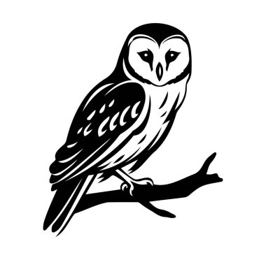 Siyah ve Beyaz Baykuş Ağaç Dalında Oturuyor