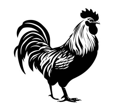 Çiftlik Sanatı için Siyah ve Beyaz Horoz İllüstrasyonu