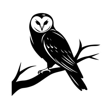 Şık Siyah ve Beyaz Baykuş Bir Dalda Oturuyor