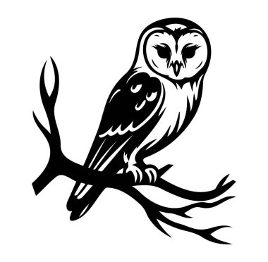 Ayrıntılı Siyah-Beyaz Baykuş ResimleriName