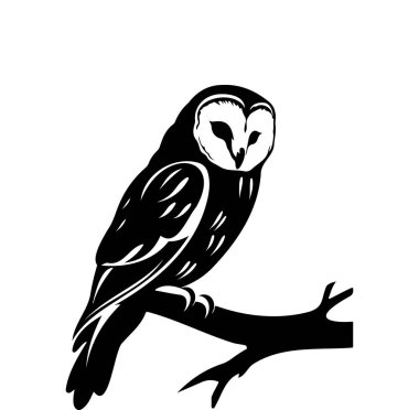 Dalda oturan Baykuş 'un Siyah ve Beyaz Çizimi