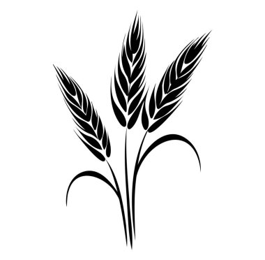 Siyah ve Beyaz Buğday Buğdaylı Tasarım Çizimi