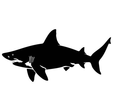 Bir Köpekbalığının Siyah Silueti Bir Avla Yüzüyor