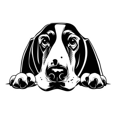 Sevimli Basset Tazı Köpek Çizimi İfade Eden Gözler