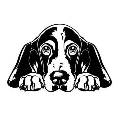 Uyuyan Köpek Surat 'ın Siyah ve Beyaz Çizimi