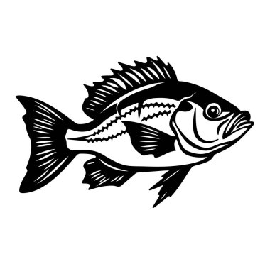 Suda Yüzen Bir Balığın Siyah ve Beyaz Çizimi